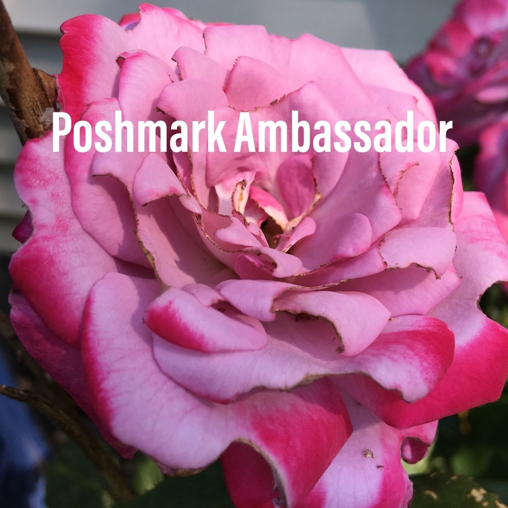 Meet your Posher, Tina